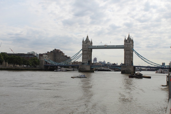 IMG_8694.JPG